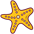 shape